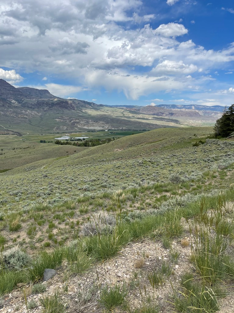 4. Lots / Land for Sale at Tbd Aerie Dr Cody, Wyoming 82414 United States