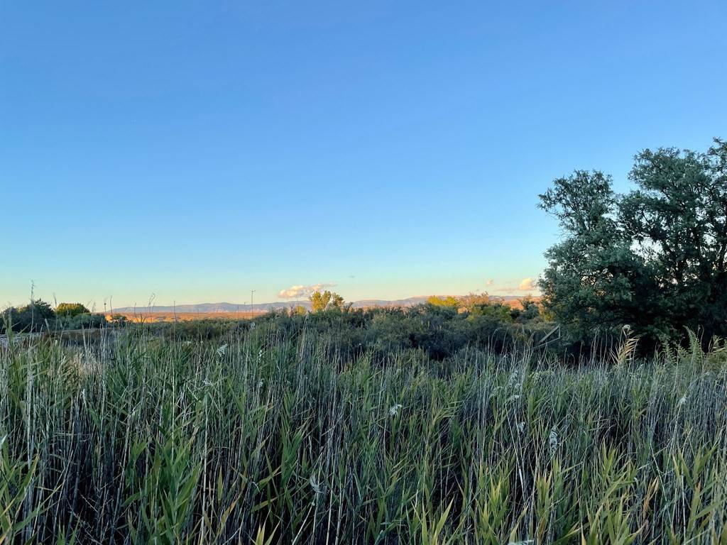 43. Lots / Land for Sale at 389 Hwy 20 S Greybull, Wyoming 82426 United States