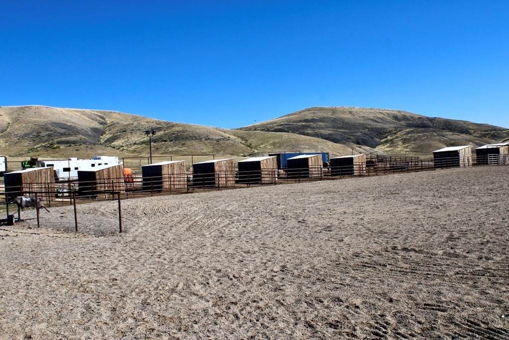 9. Single Family Homes for Sale at 1246 Hwy 14 Greybull, Wyoming 82426 United States