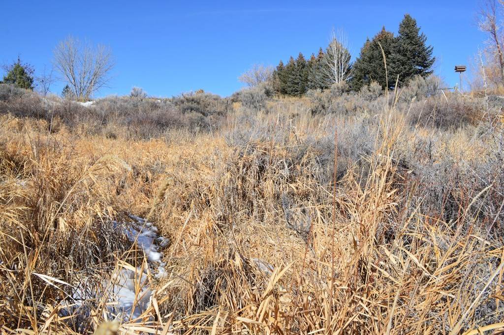 15. Lots / Land for Sale at Tbd Dutcher Springs Tr Powell, Wyoming 82435 United States