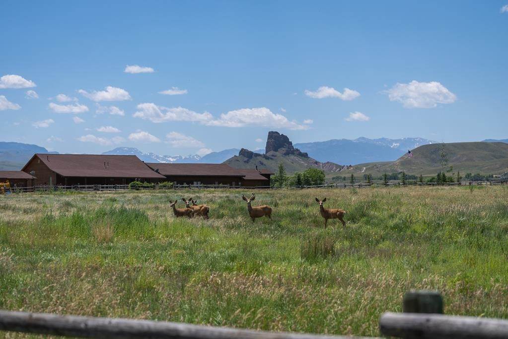Property for Sale at 39 Brown Mountain Road Cody, Wyoming 82414 United States