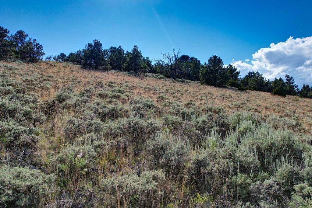 10. Lots / Land for Sale at Tbd Coach Rd Meeteetse, Wyoming 82433 United States