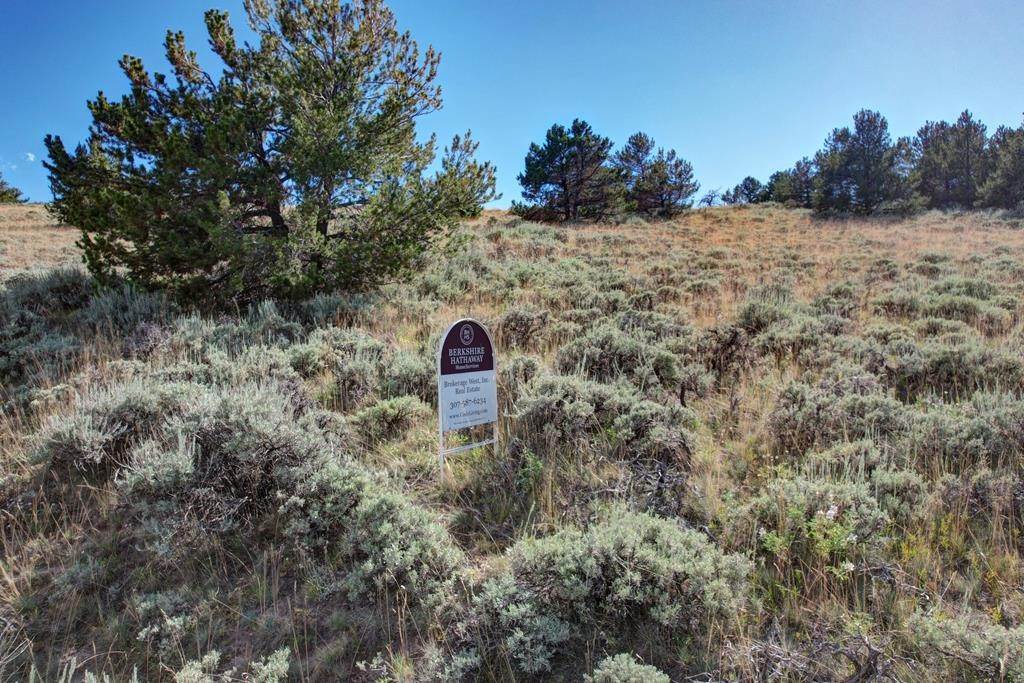 9. Lots / Land for Sale at Tbd Coach Rd Meeteetse, Wyoming 82433 United States