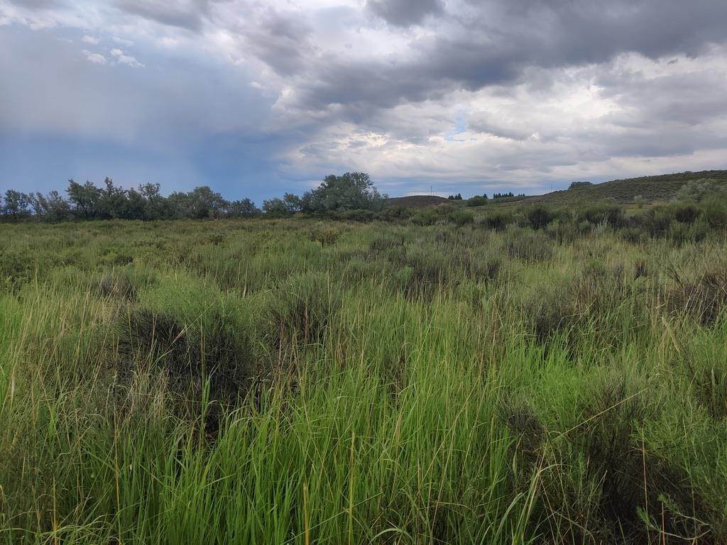 Lots / Land for Sale at 95 Sunburst Dr Cody, Wyoming 82414 United States
