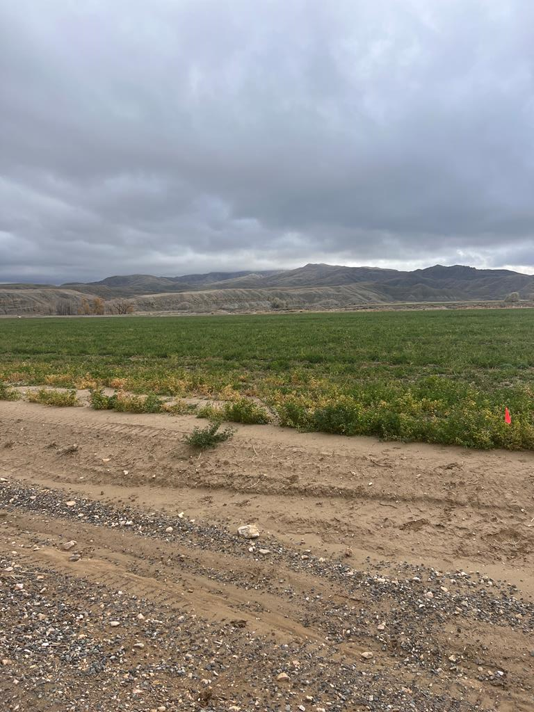 3. Lots / Land for Sale at Tbd Buck Creek Way Powell, Wyoming 82435 United States